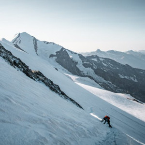 尻屄视频大全下载
