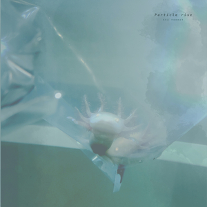 尻屄视频大全下载
